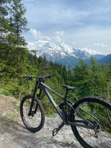 Used Mondraker SUMMUM 2024 2024 Mountainbike, Light Gray, 29 — image 1 of 9