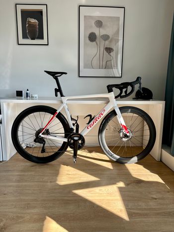 Used Wilier Filante Shimano Ultegra Di2 2026 Road & Gravel