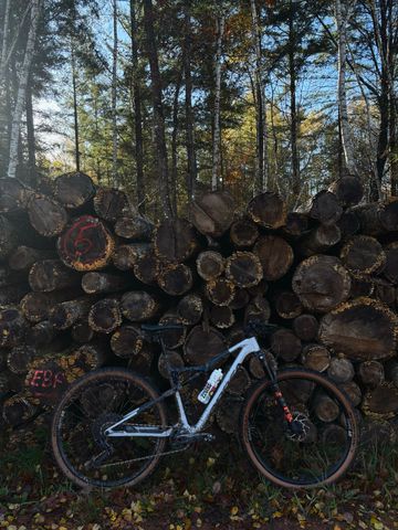 Gebrauchtes Orbea OIZ M21 2024 2024 Mountainbike, Weiß, 29 — Bild 3 von 3
