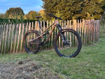 Używany Canyon Spectral 6 2025 2025 Mountainbike — zdjęcie 7 z 15