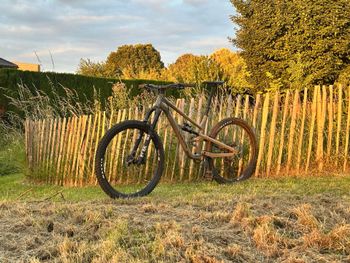 Używany Canyon Spectral 6 2025 2025 Mountainbike — zdjęcie 2 z 15