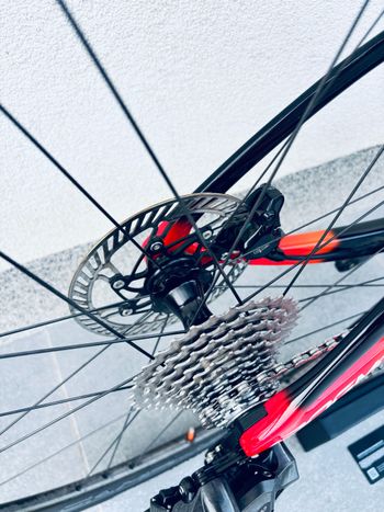 Used Pinarello Dogma F 2025 2025 Road & Gravel, Red — image 13 of 15