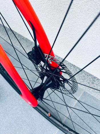 Used Pinarello Dogma F 2025 2025 Road & Gravel, Red — image 14 of 15
