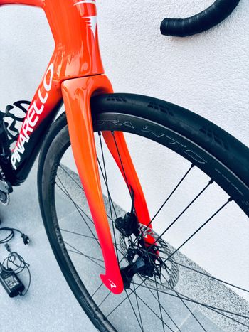 Used Pinarello Dogma F 2025 2025 Road & Gravel, Red — image 8 of 15