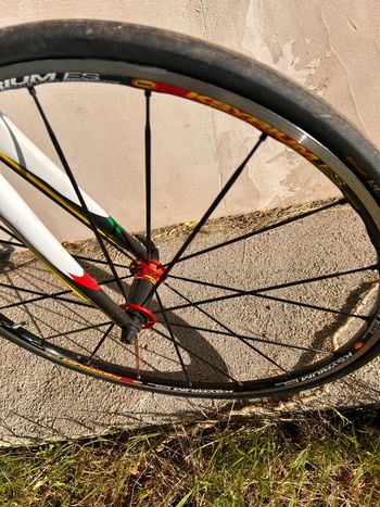 Used Willier Custom SRAM Red 2010 Road & Gravel, Orange — image 5 of 8