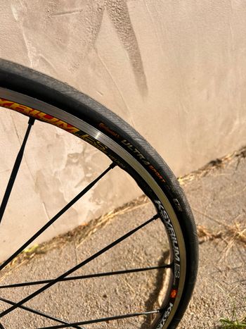Used Willier Custom SRAM Red 2010 Road & Gravel, Orange — image 4 of 8