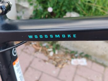 Used Salsa woodsmoke Custom SRAM NX 2022 Mountainbike, Black — image 10 of 10