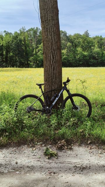 Used Superior XC 889 2025 2025 Mountainbike, Black, 29 — image 1 of 3