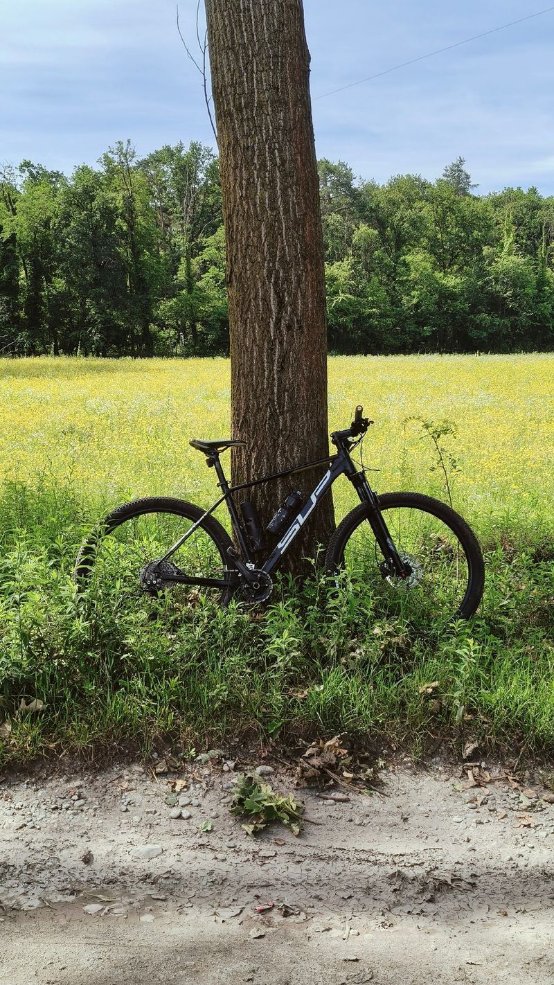 Used Superior XC 889 2025 2025 Mountainbike, Black, 29 — image 1 of 3