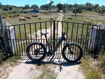 Used Moma E-FAT 26 PRO 2022 Mountainbike, Light Gray — image 8 of 8