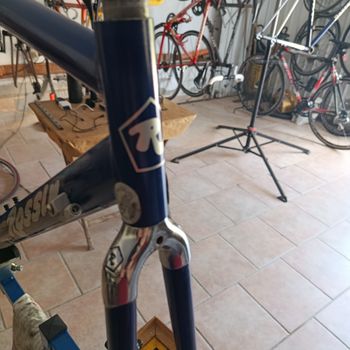 Używany Rossin In Titanio Hyperion Frameset 1994 Road & Gravel — zdjęcie 5 z 10