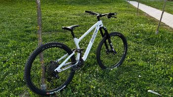 Used Radon SLIDE TRAIL AL 8.0 2023 2023 Mountainbike, White, 29 — image 10 of 10