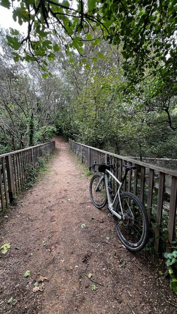 Used RIVERSIDE GCR Carbon Gravel Race Bike 2024 Frameset 2024 Road & Gravel, Light Gray — image 2 of 4