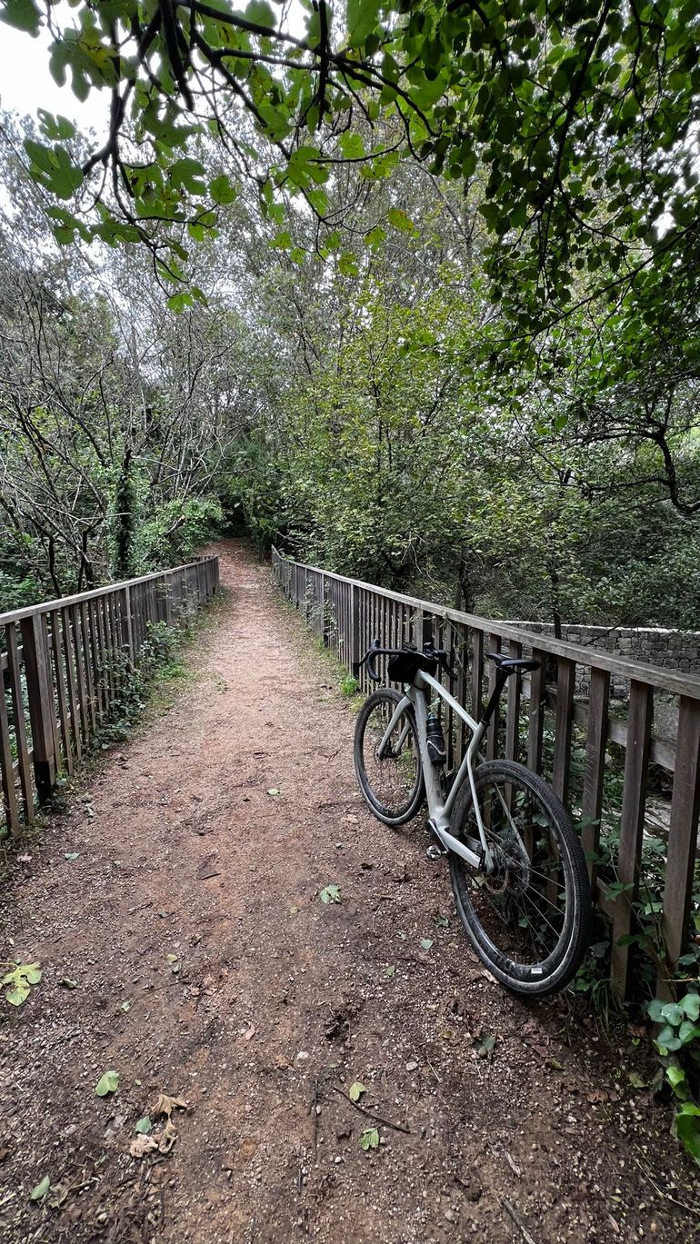 Used RIVERSIDE GCR Carbon Gravel Race Bike 2024 Frameset 2024 Road & Gravel, Light Gray — image 2 of 4