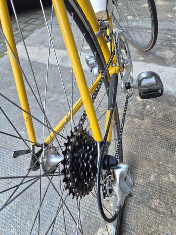 Used Dedonato Custom Campagnolo Chorus 1980 Road & Gravel, Orange — image 3 of 19