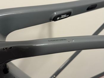 Used Trek Domane SL Disc Frameset 2021 Frameset 2021 Road & Gravel, Light Gray — image 13 of 13