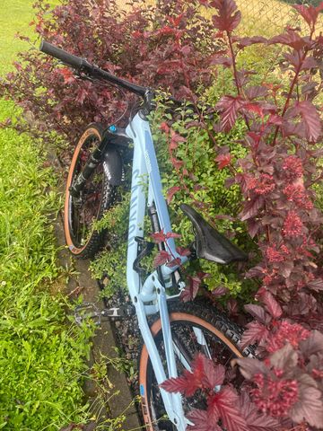 Used Canyon Neuron 6 2023 2023 Mountainbike, Blue — image 2 of 10