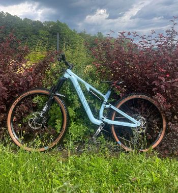 Używany Canyon Neuron 6 2023 2023 MTB