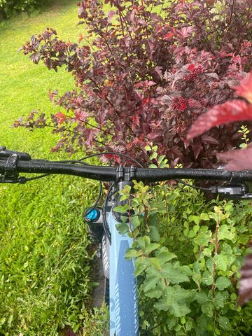 Used Canyon Neuron 6 2023 2023 Mountainbike, Blue — image 8 of 10