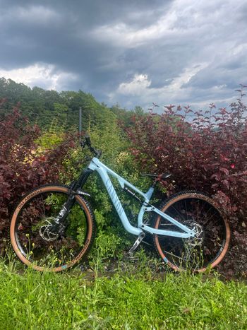 Używany Canyon Neuron 6 2023 2023 MTB