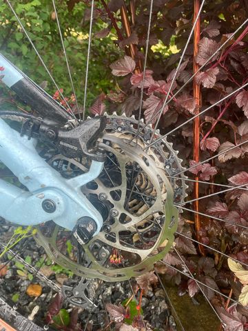 Used Canyon Neuron 6 2023 2023 Mountainbike, Blue — image 5 of 10