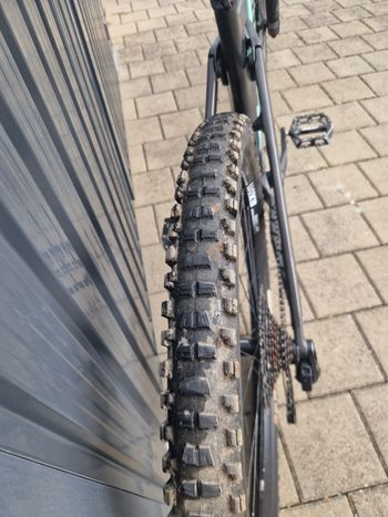 Used Canyon Strive CFR 2024 2024 Mountainbike, Green, 29 — image 11 of 18