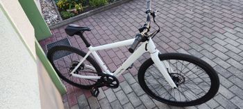 Canyon Roadlite Shimano Nexus Hub Gear 2023 Road & Gravel d'occasion — image 4 sur 10