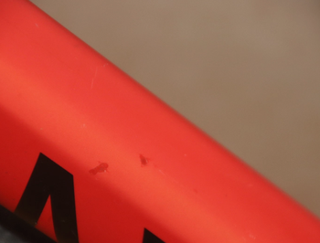 Używany Canyon Endurace CF SL Disc 8.0 2020 2020 Road & Gravel — zdjęcie 10 z 15