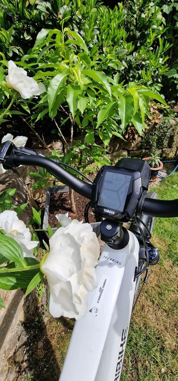 Used Haibike Trekking 8 2021 2021 Urban, White — image 7 of 7