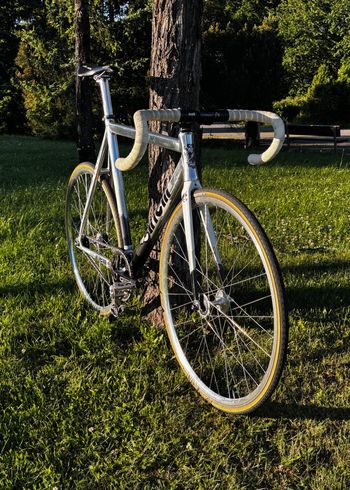 Gebrauchtes Cinelli Mash Histogram 2014 - Premium Track Build 2014 Road & Gravel, Hellgrau — Bild 3 von 17