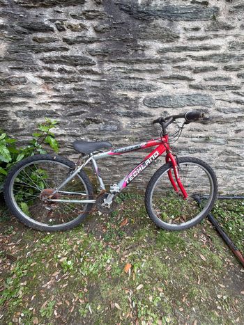 Techland Custom Shimano XTR 2015 VTT d'occasion