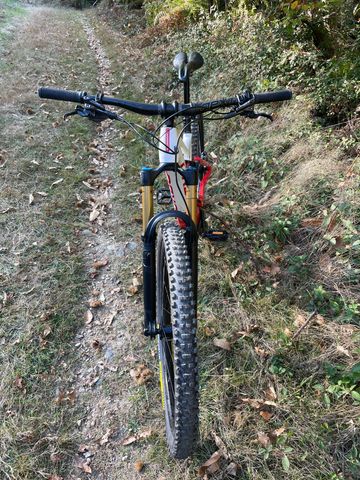 Gebrauchtes Orbea RISE M10 2023 2023 Mountainbike, Weiß, 29 — Bild 2 von 4