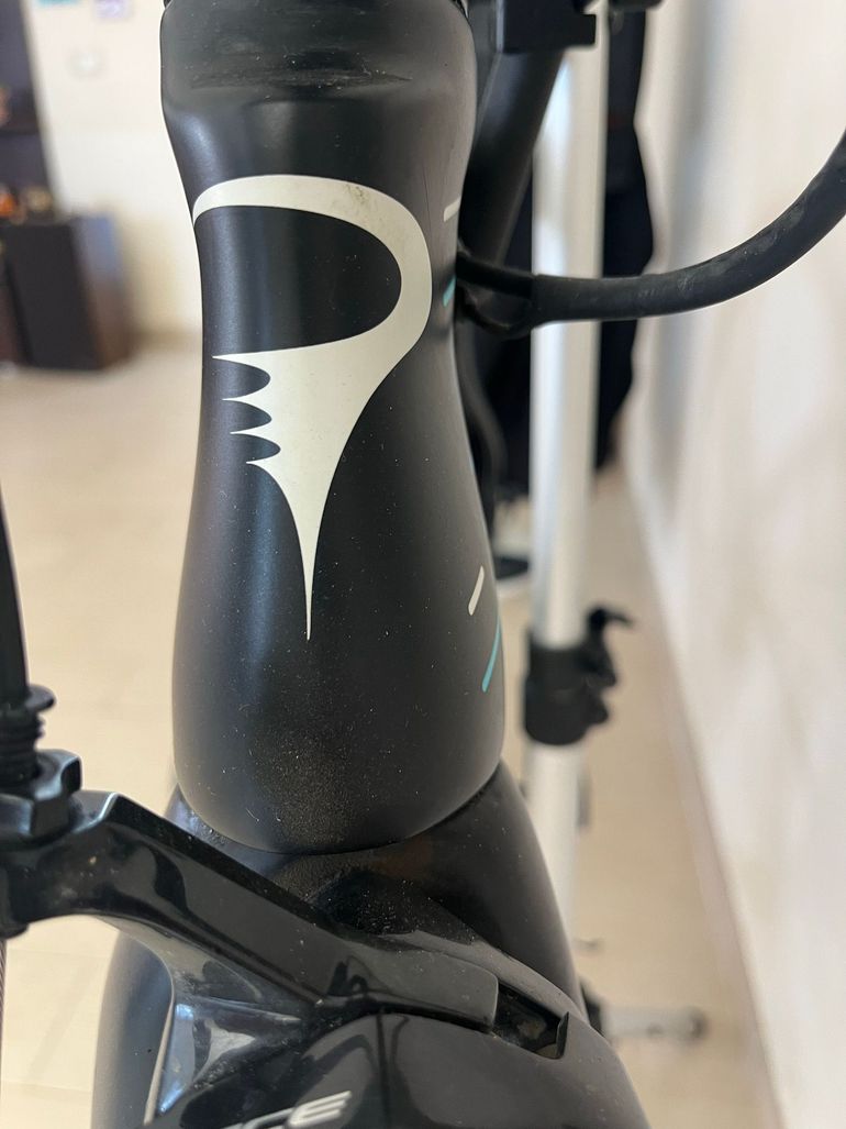Używany Pinarello DOGMA F10 X-LIGHT 2019 2019 Road & Gravel — zdjęcie 4 z 15