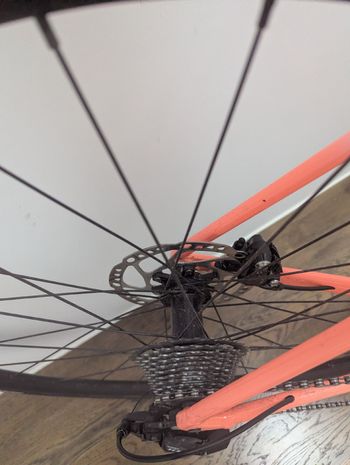 Używany Trek Émonda ALR 5 2023 2023 Road & Gravel — zdjęcie 13 z 18