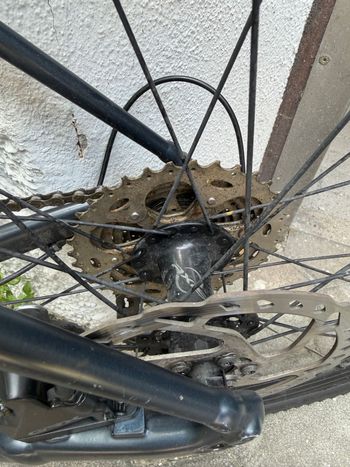Używany Specialized Diverge Elite E5 2023 2023 Road & Gravel — zdjęcie 23 z 24