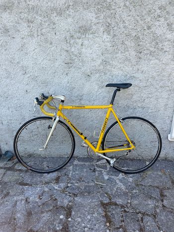 Used Vintage Custom Campagnolo Veloce 1990 Road & Gravel