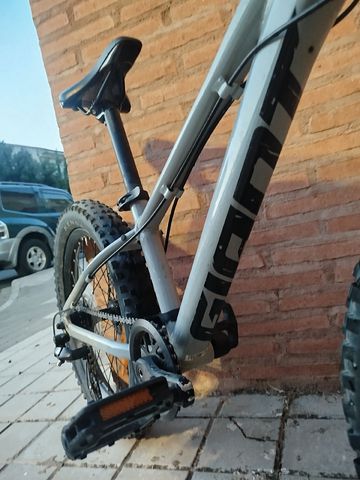 Used Giant Stp 2024 Youth, Light Gray — image 4 of 4