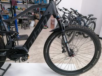 Used MBM Hyperion 29" Full Tg. M 2026 Mountainbike, Light Gray — image 3 of 11