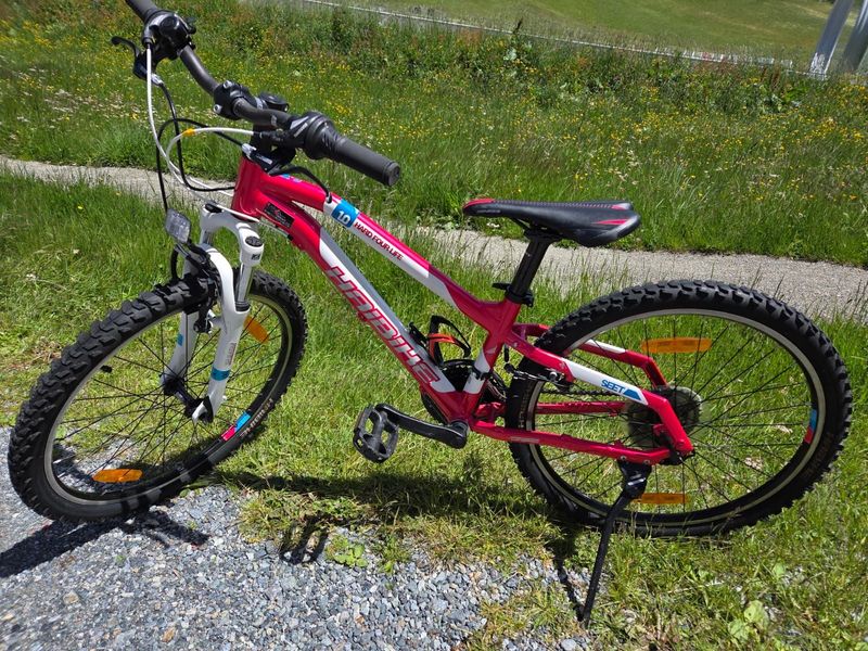 Haibike Hard Four Life 1.0 2018 MTB d'occasion