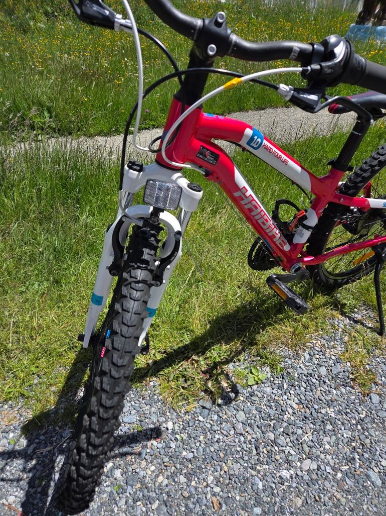 Used Haibike Hard Four Life 1.0 2018 Mountainbike, Purple — image 3 of 5