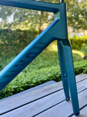 Used Canyon Ultimate CF SLX 8 Di2 C50 2025 Frameset 2025 Road & Gravel, Blue — image 7 of 9