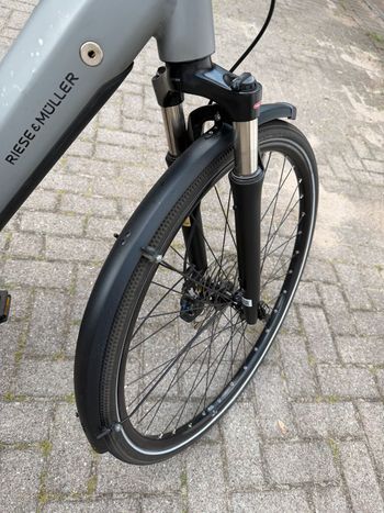 Used Riese & Müller Roadster Vario 2023 Urban, Light Gray — image 11 of 13
