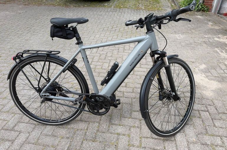 Used Riese & Müller Roadster Vario 2023 Urban, Light Gray — image 12 of 13