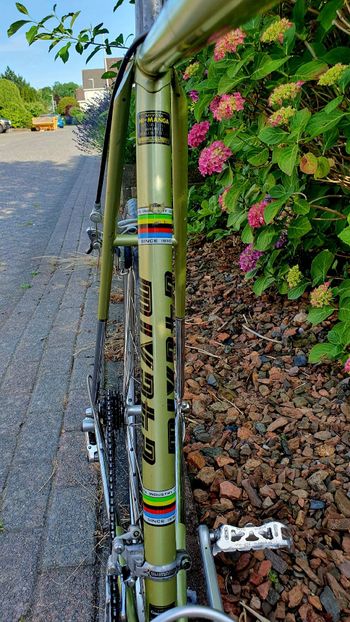 Used Koga miyata gent's racer Custom Shimano 600 1991 Road & Gravel, Green — image 7 of 20