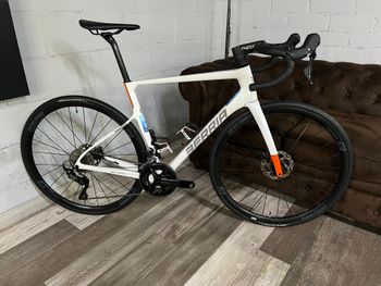 Used Berria BELADOR ELITE 105 2025 2025 Road & Gravel