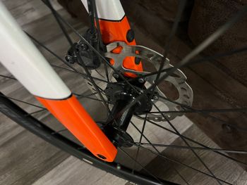 Used Berria BELADOR ELITE 105 2025 2025 Road & Gravel, White — image 10 of 18