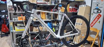 Used Orbea Orca M20i TEAM ED PWR 2026 2026 Road & Gravel, White — image 2 of 3