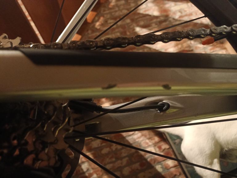 Używany Canyon Endurace CF 7 Di2 2025 2025 Road & Gravel — zdjęcie 3 z 3