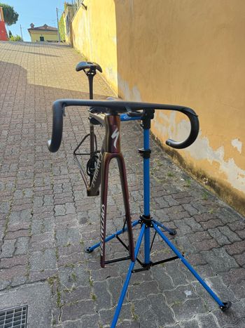 Used S Works Custom Frameset 2025 Road & Gravel, Purple — image 7 of 8