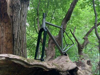Used Veloheld Icon Frameset 2021 Road & Gravel